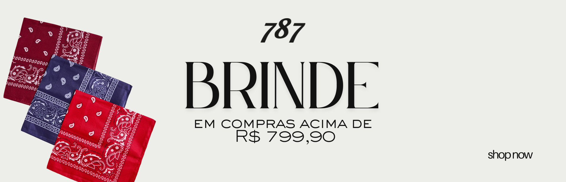 FULL BANNER BRINDE