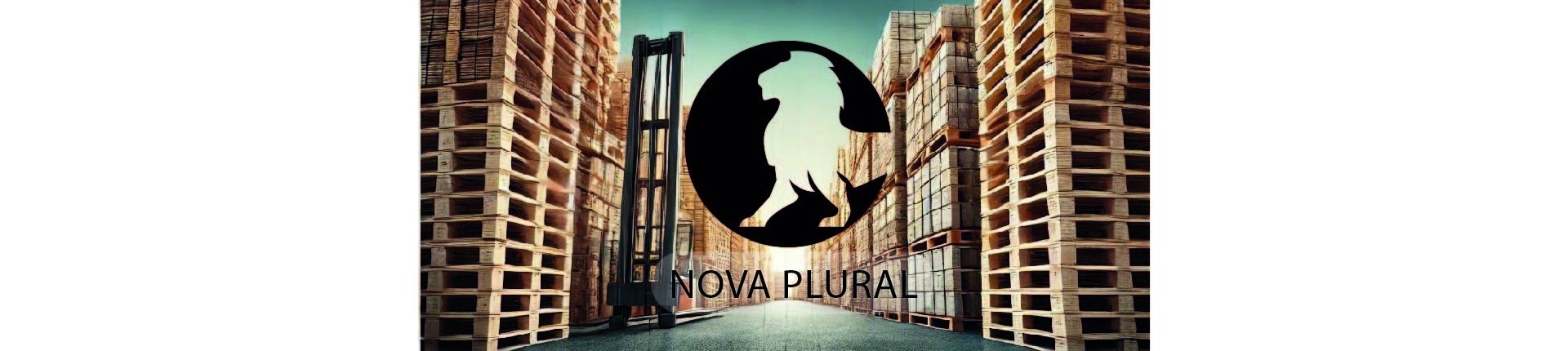 Nova Plural
