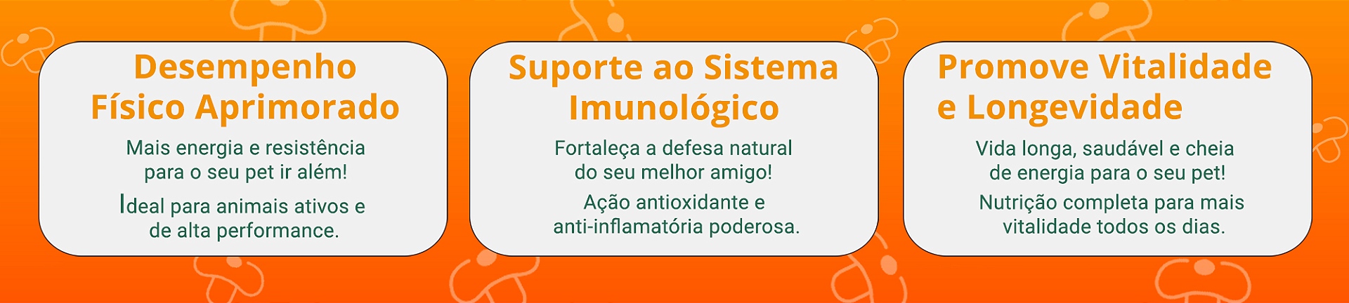 Beneficios Cogumelo Pets