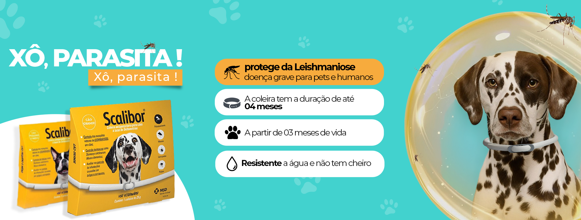 Rações Terapêuticas