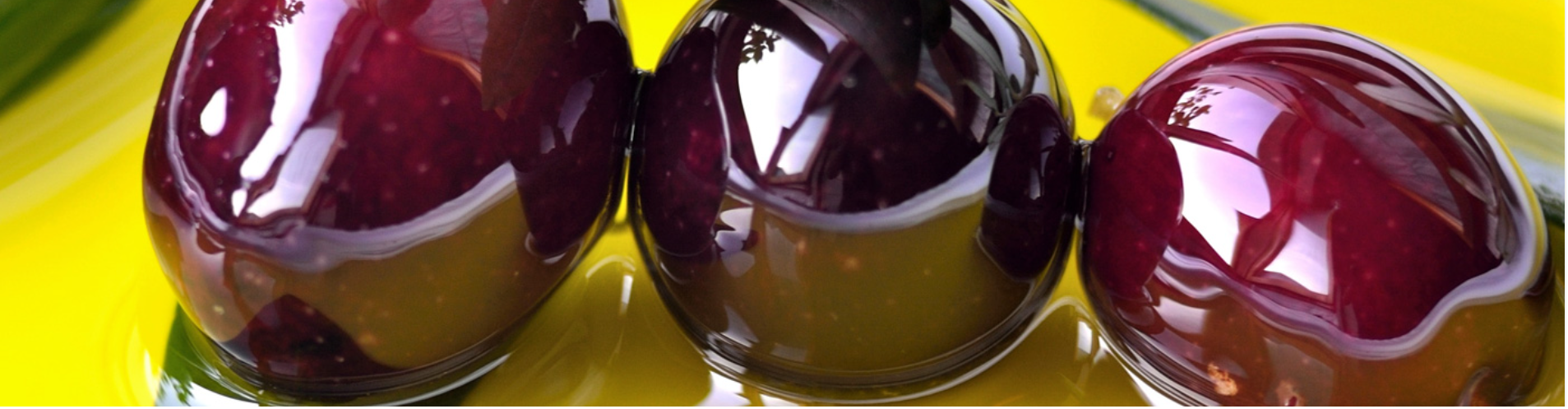 banner3