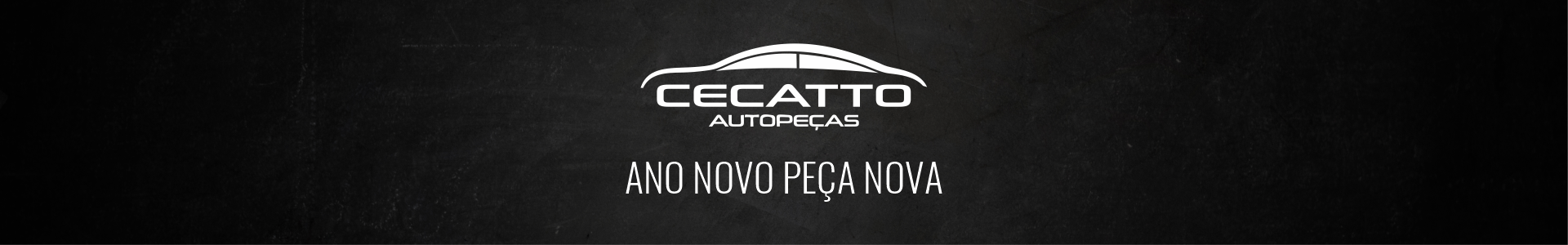 Full banner - Principal 3