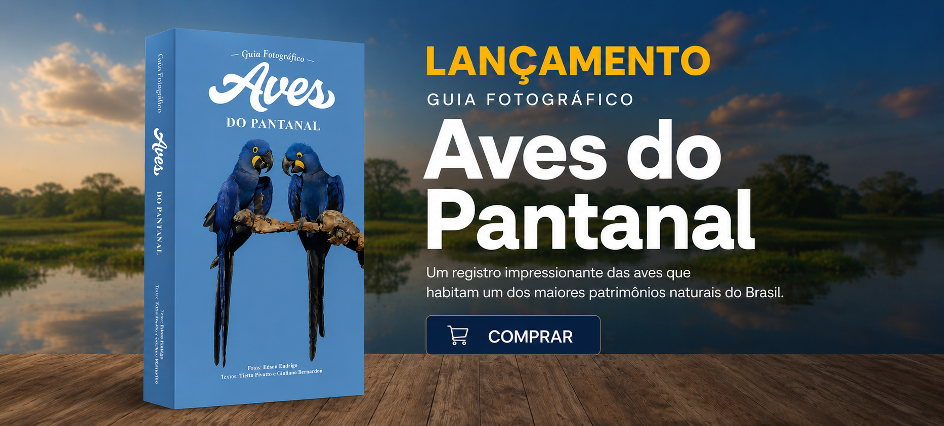 Aves do Pantanal