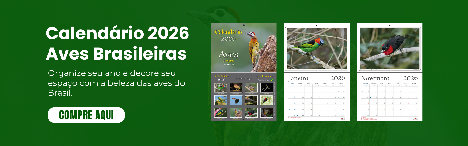 Banner Calendário 2026