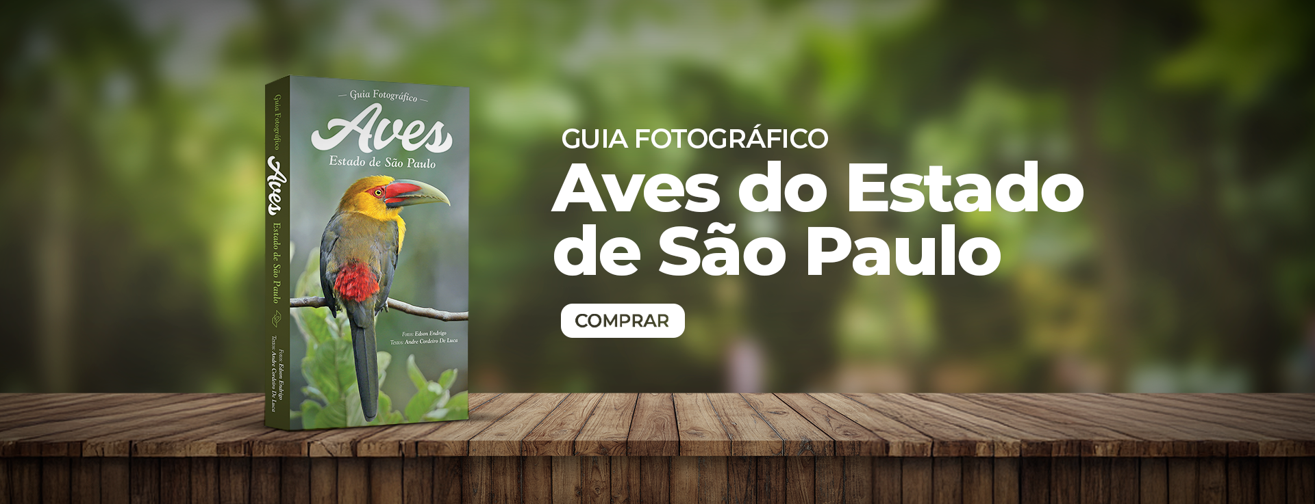 Guia Fotográfico AVES – Estado de São Paulo