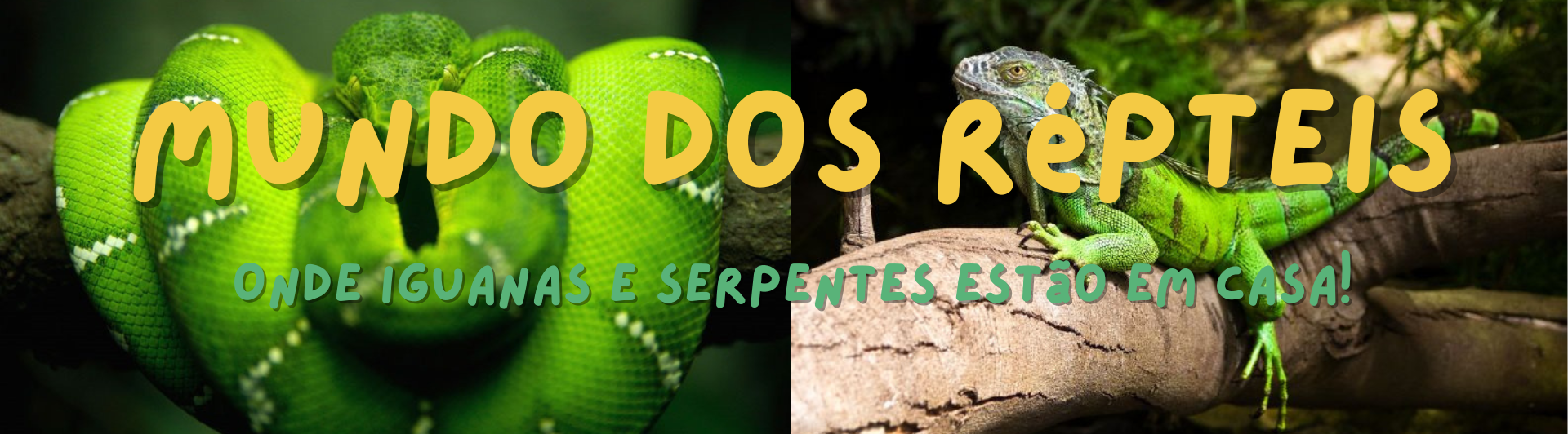 Repteis