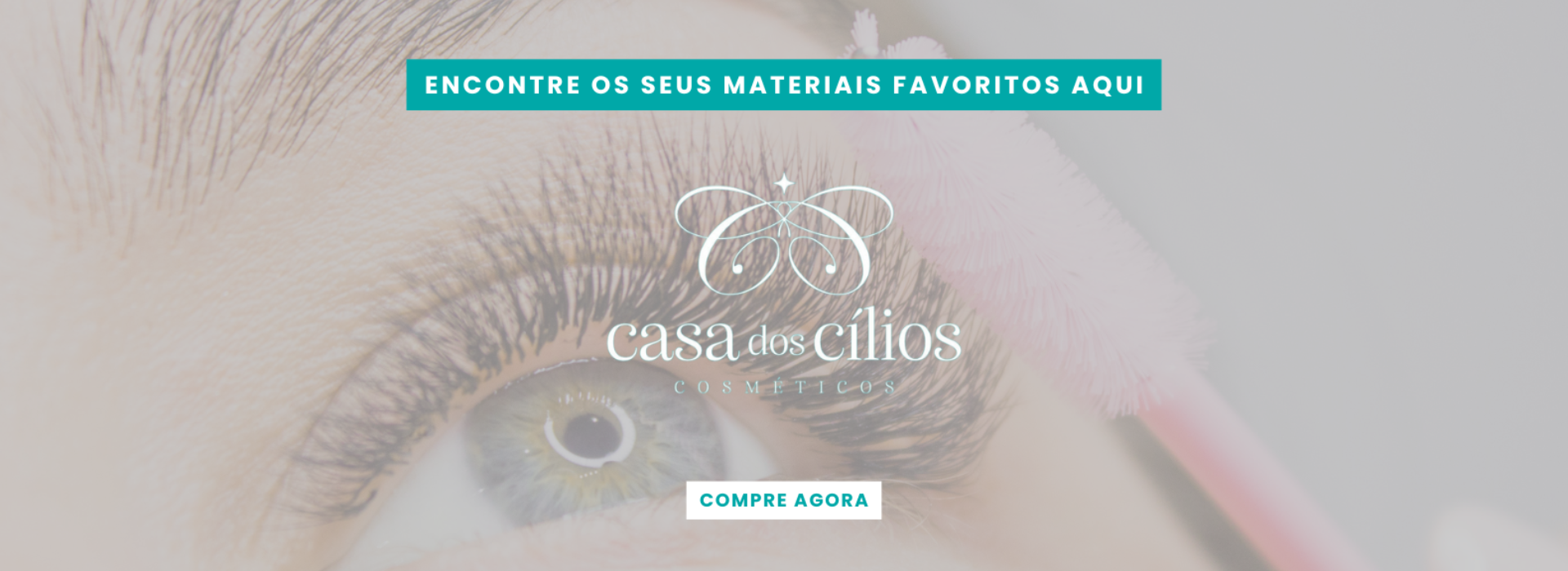 Favoritos