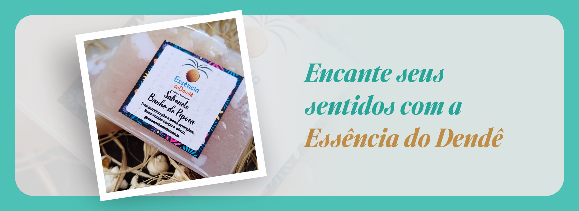 Full Banner Institucional