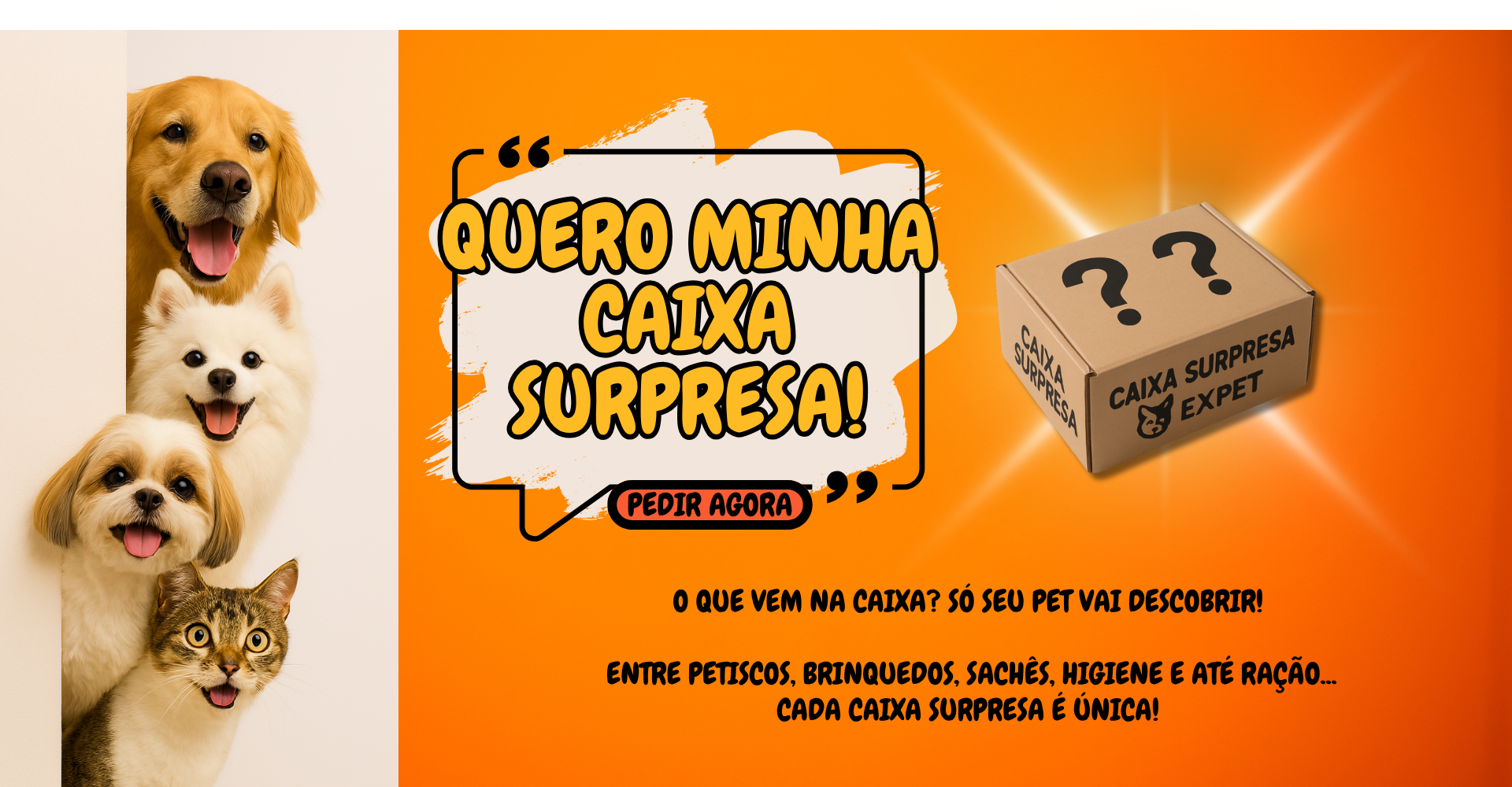 Caixa Surpresa