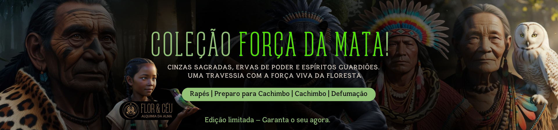 força da mata @desktop