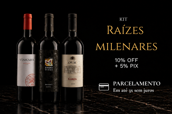 raizesmilenares mobile