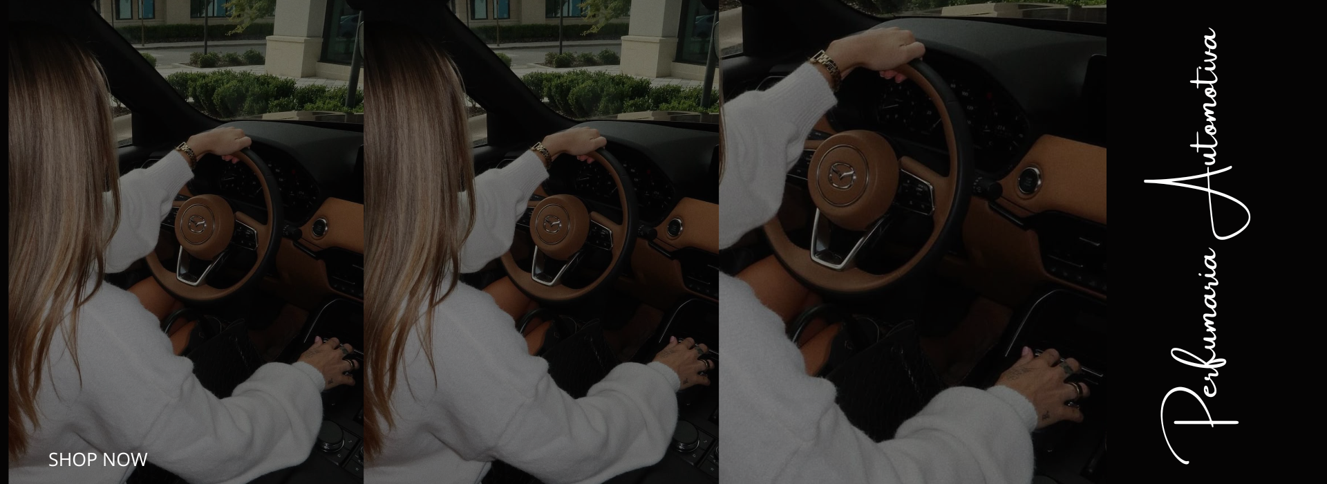 PERFUMARIA AUTOMOTIVA