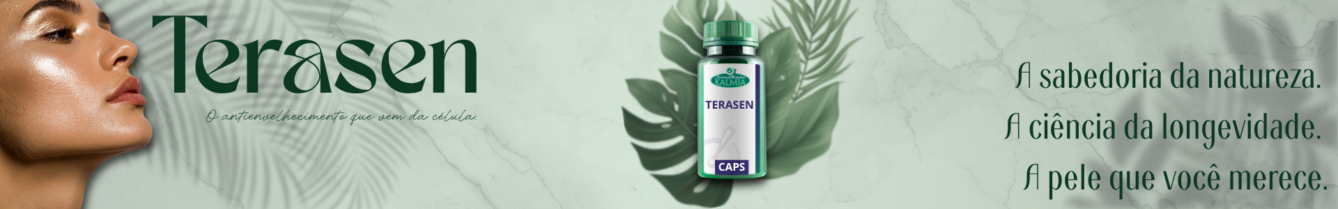 Banner Terasen