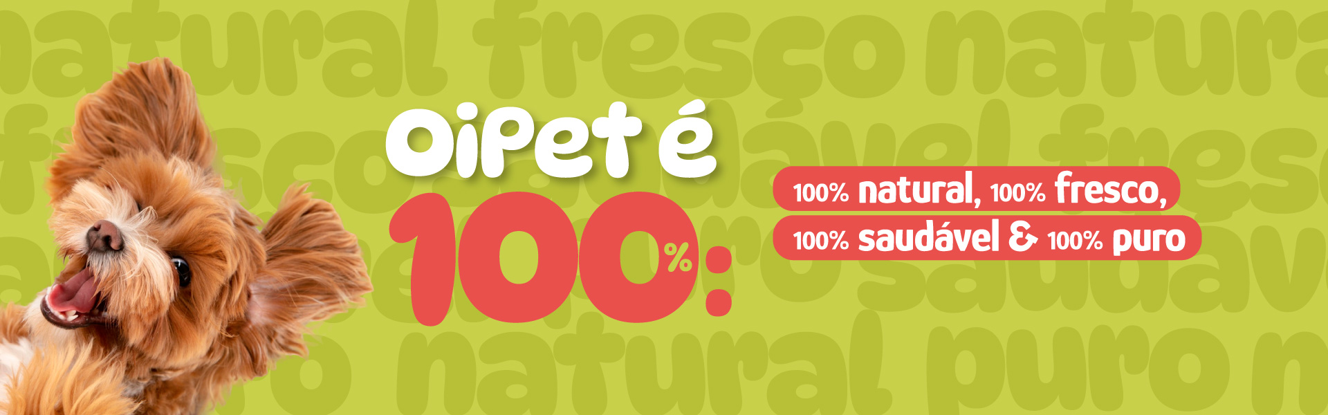 Full banner desktop 2