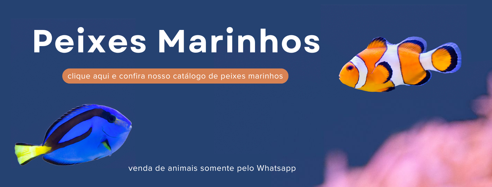 Peixes Marinhos