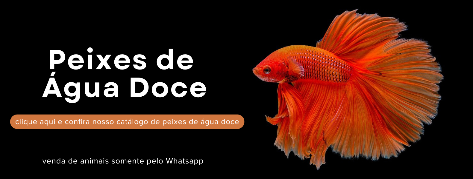 peixes agua doce