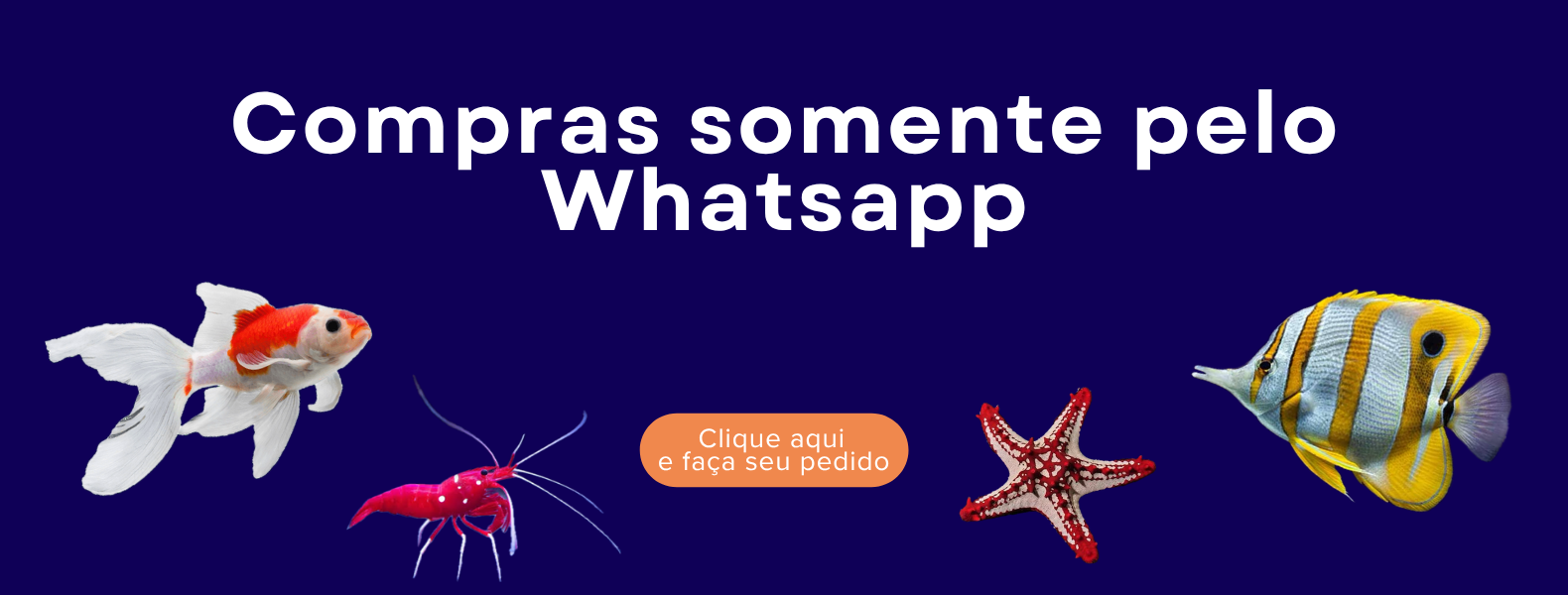 wpp