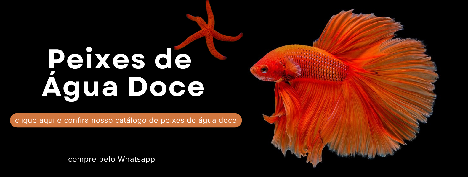 peixes agua doce