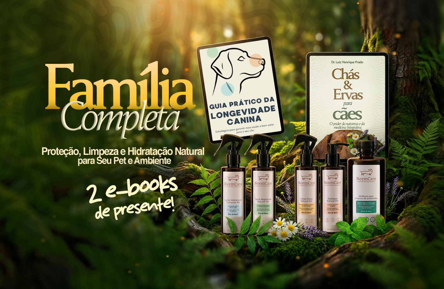 FullBanner_02 Novo mobile