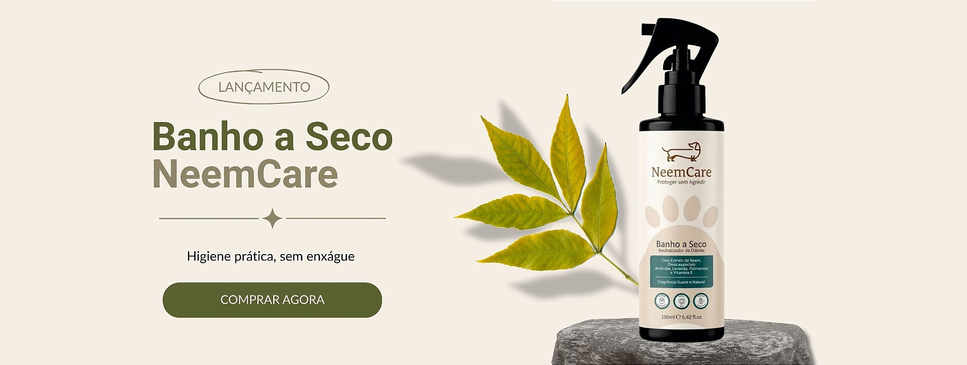Lançamento Banho a Seco