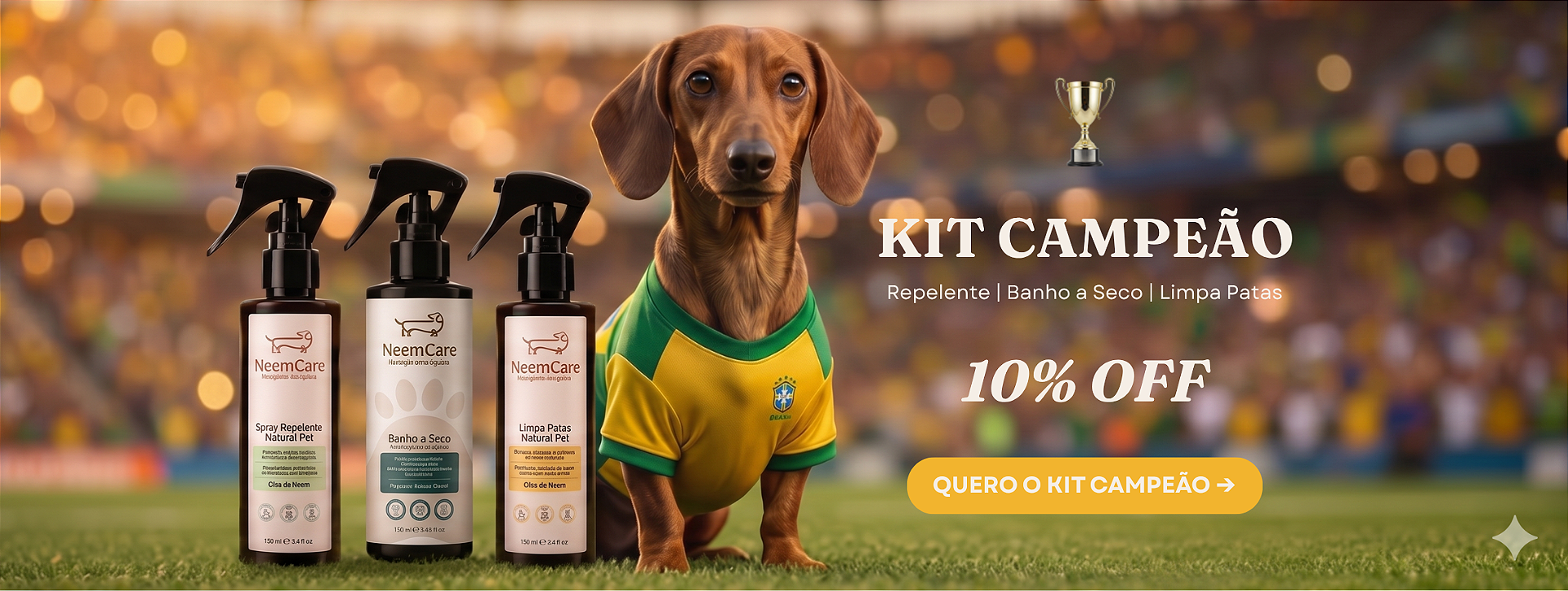 Kit CAMPEÃO
