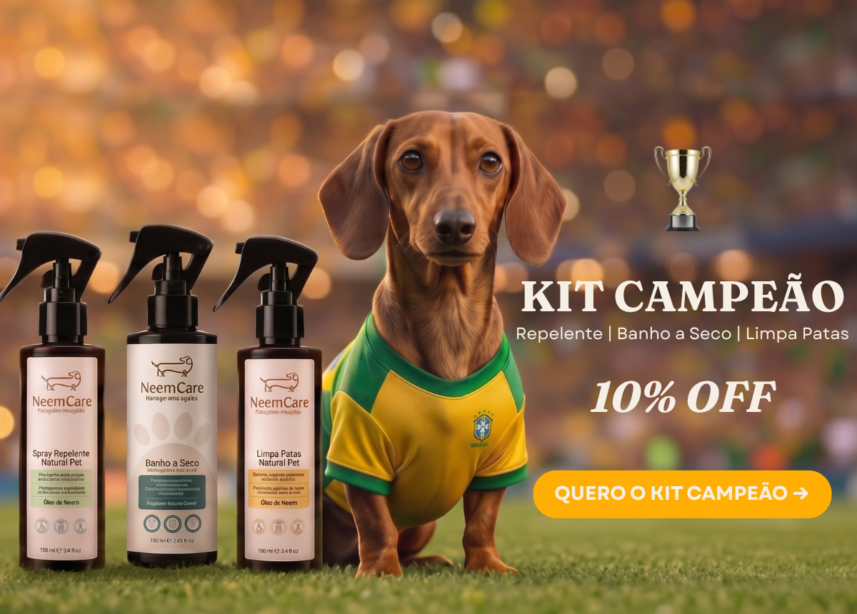 Kit CAMPEÃO mobile