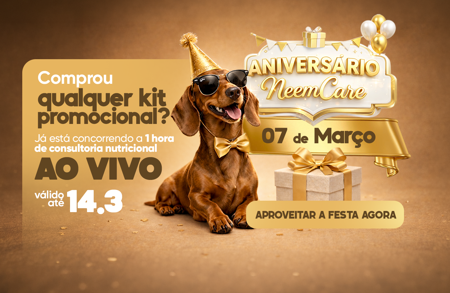 Aniver FullBanner mobile