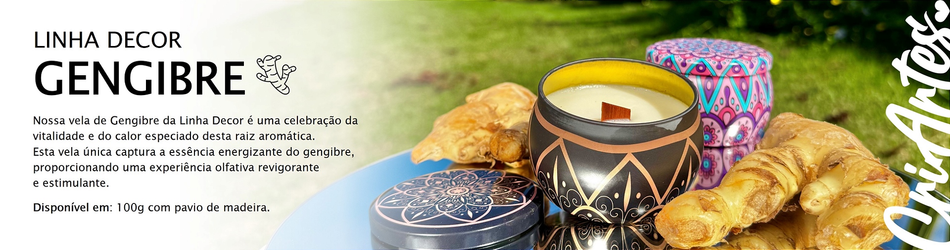 LINHA DECOR GENGIBRE