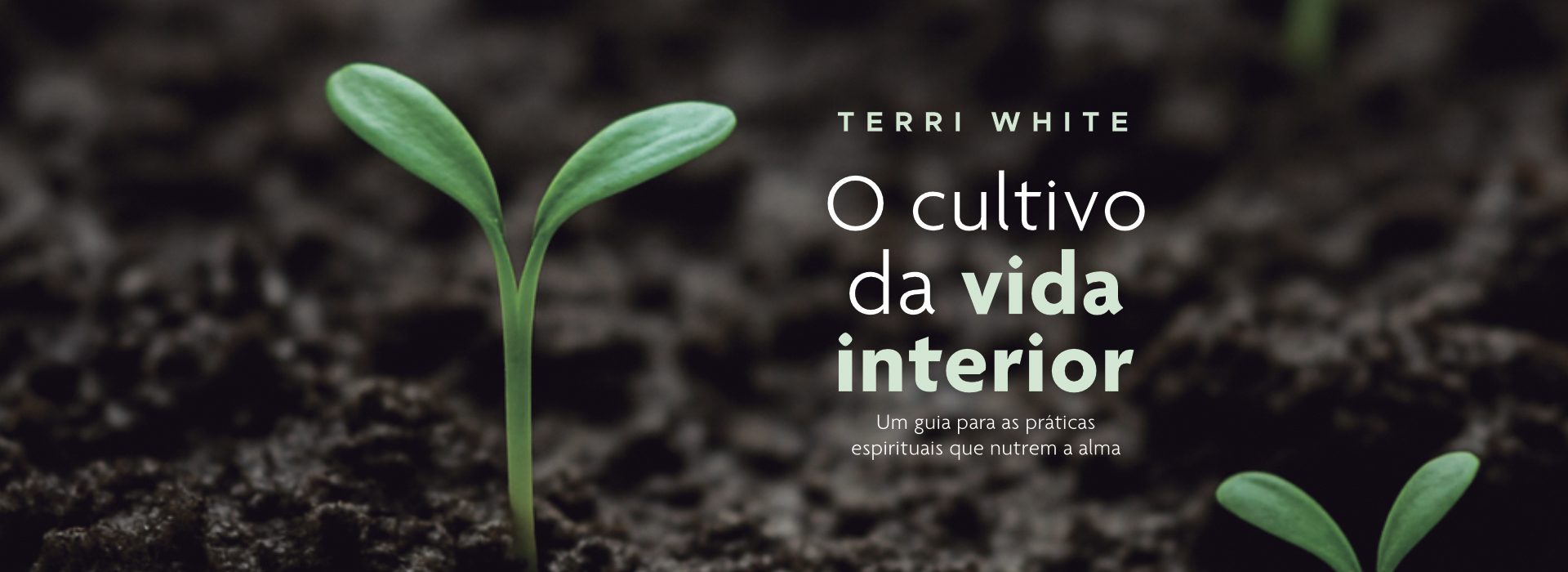 O CULTIVO DA VIDA INTERIOR