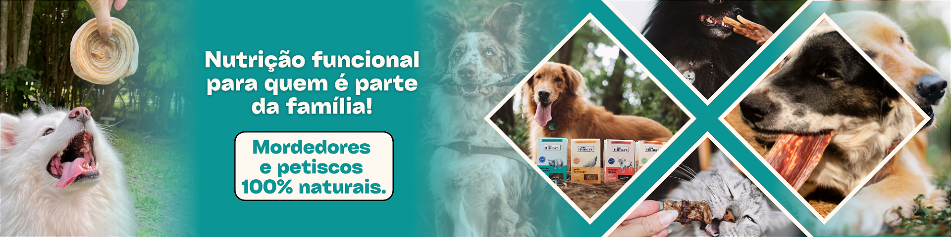 PETISCOS E MORDEDORES