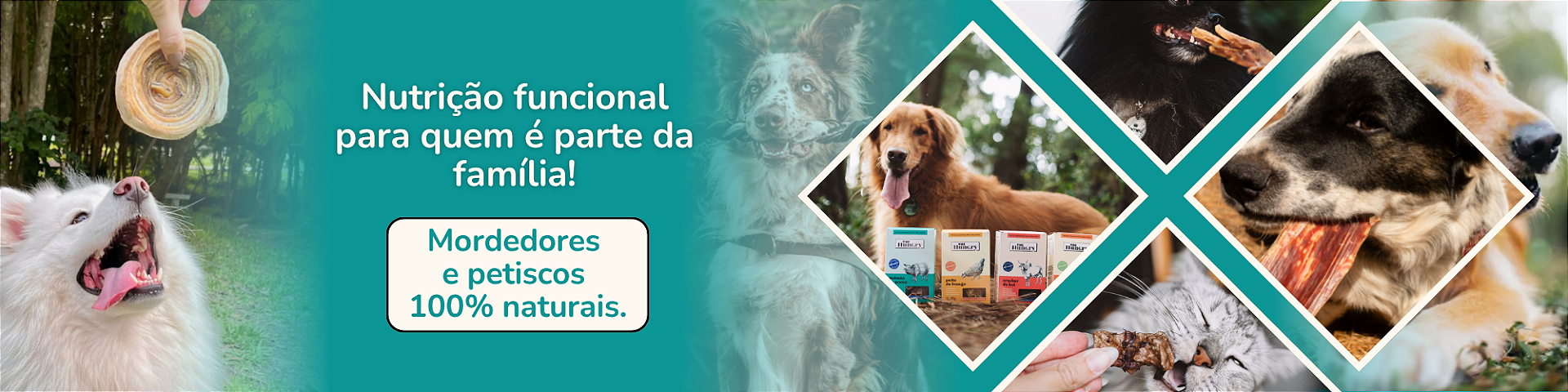 PETISCOS E MORDEDORES