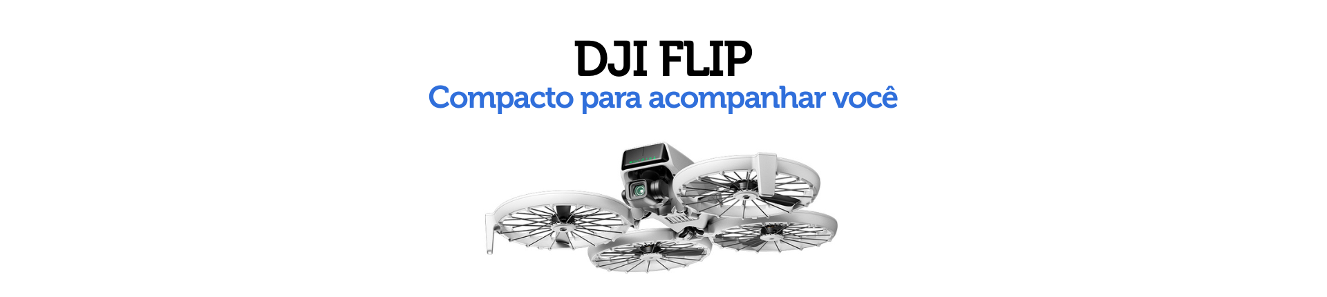 FLIP