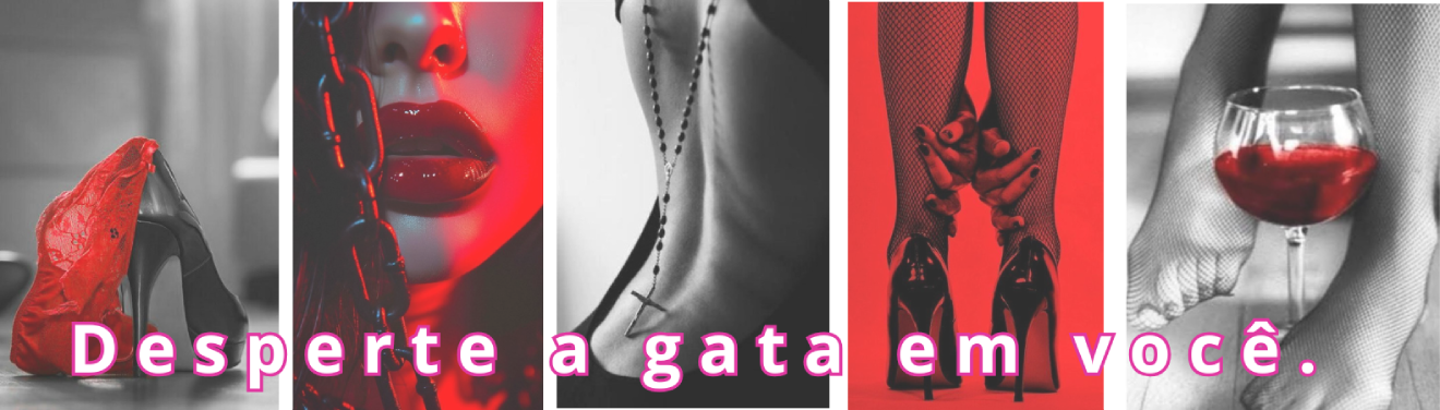 Desperte a gata