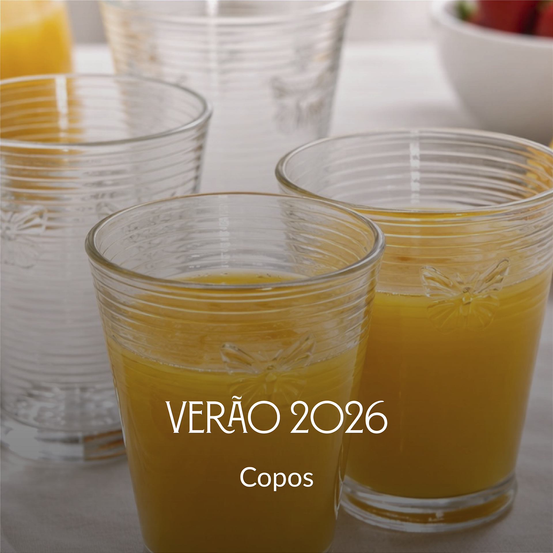 Quillicci Verão mini 3