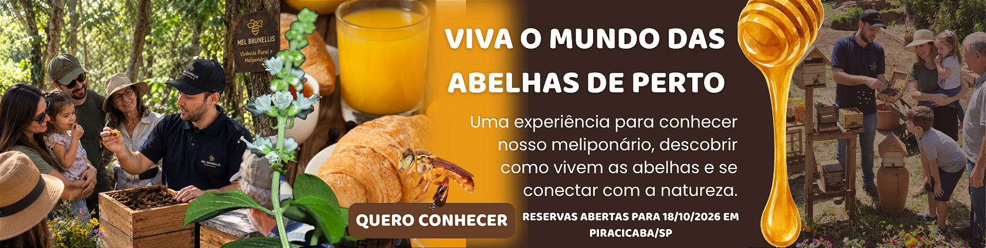vivencia