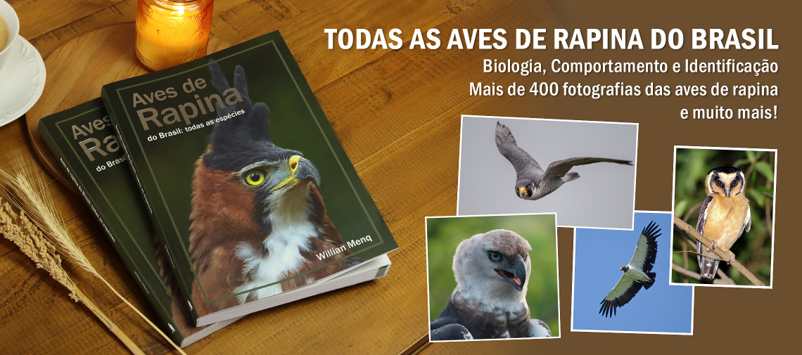Livro Aves de rapina do Brasil: todas as espécies