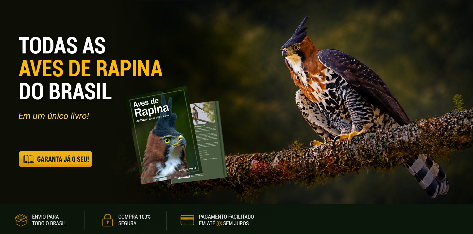 Livro Aves de rapina do Brasil: todas as espécies