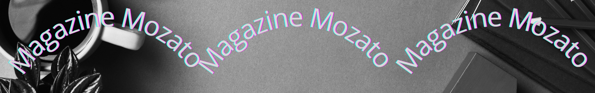 MAGAZINE MOZATO Ltda