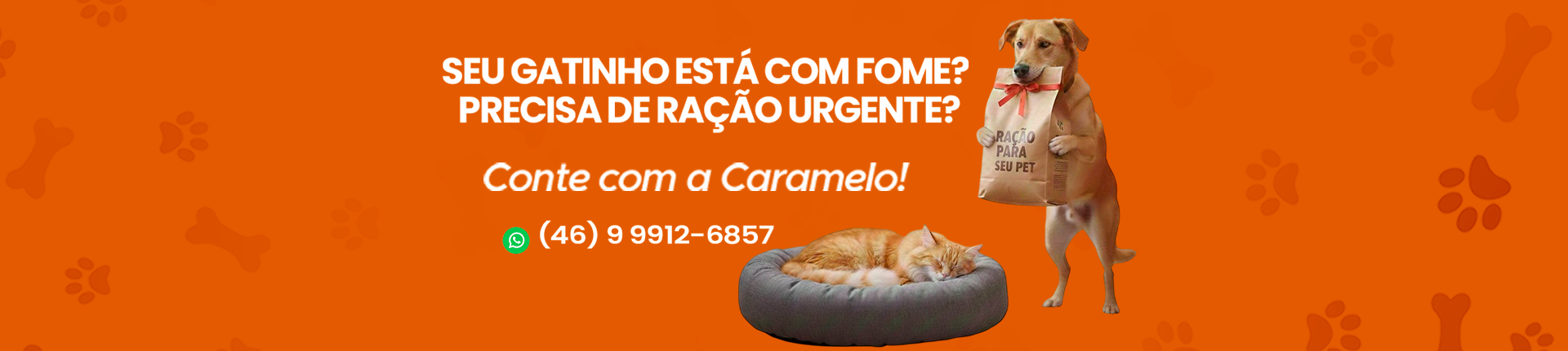 FullBannerGato