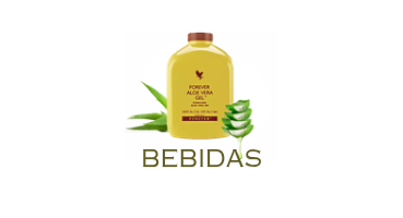 Bebida