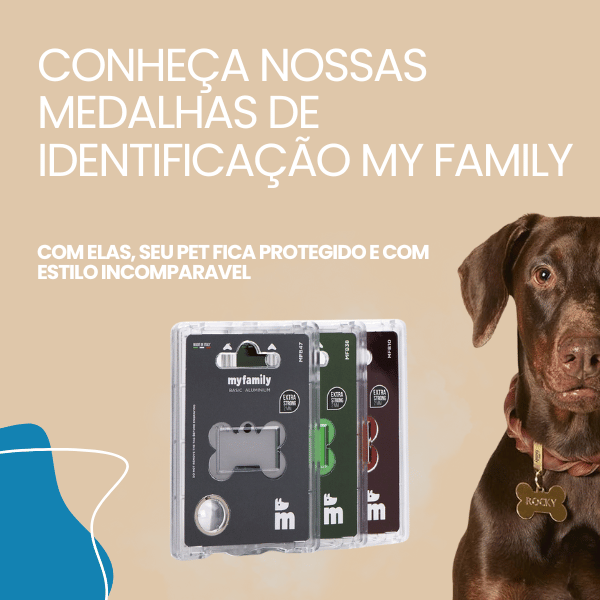 FULL BANNER 2 mobile