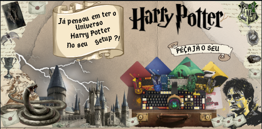 Coleção Limitada HArry Potter