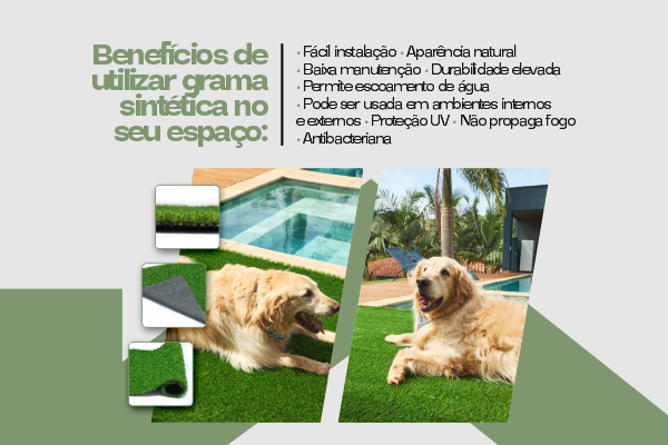 Full Banner 2 mobile