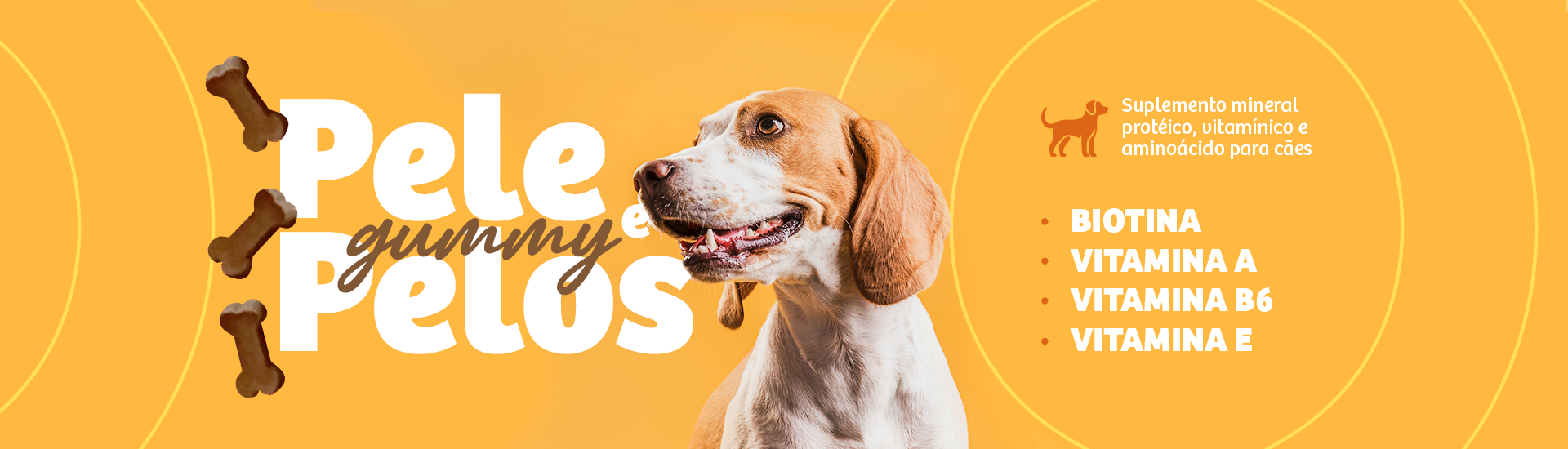 Full Banner - Pele e Pelo @desktop