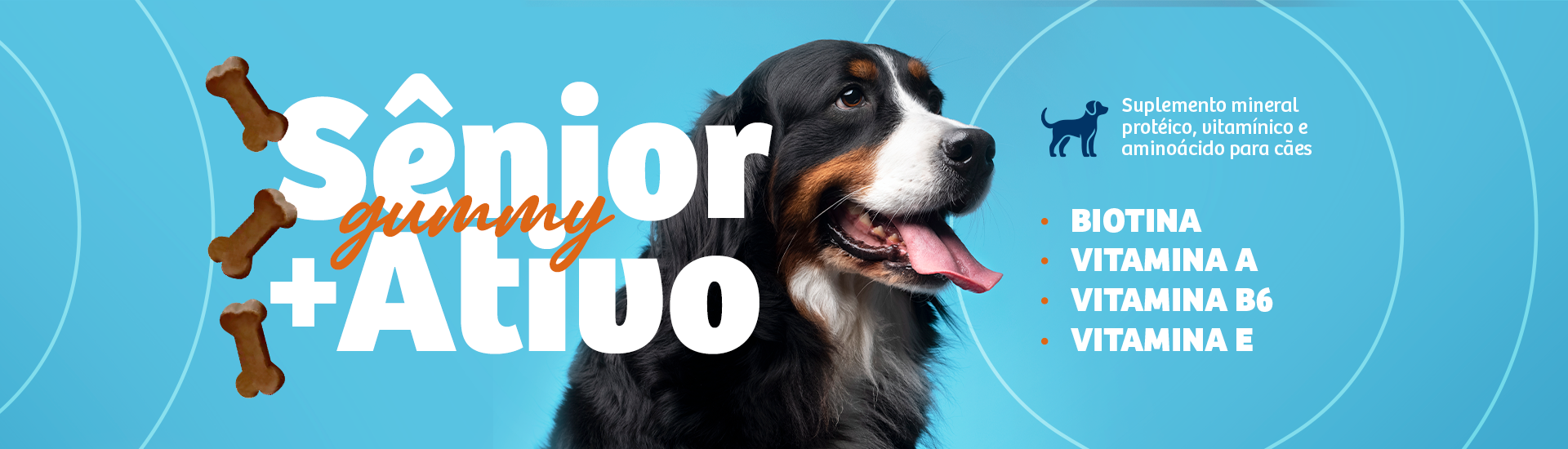 Full Banner - Sênior @desktop