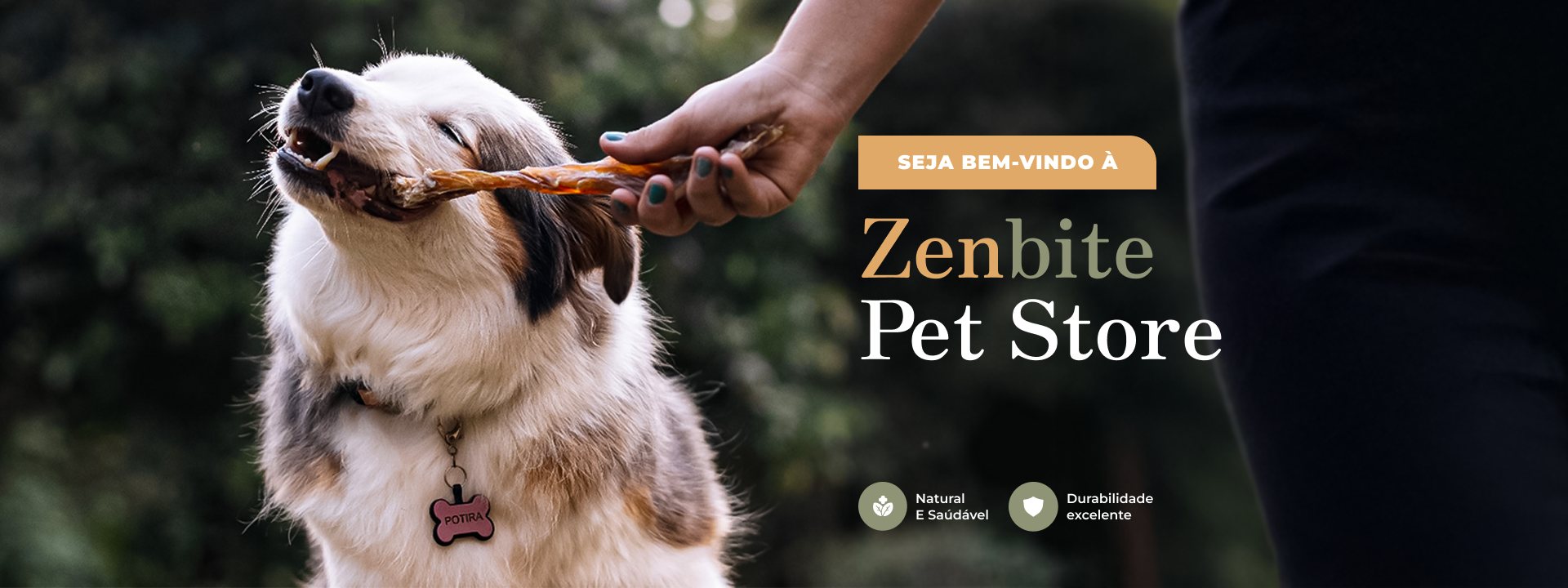 Full banner desktop 1