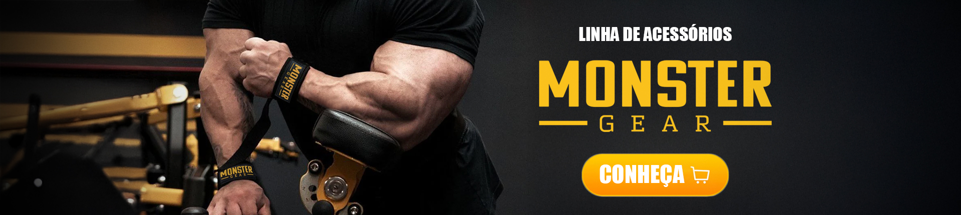 Banner Principal Teste