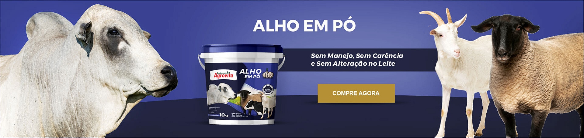 ALHO EM PÓ - Sem Manejo, Sem Carência e Sem Alteração no Leite