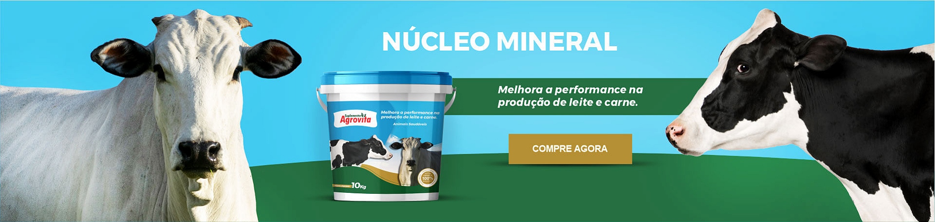 NÚCLEO MINERAL