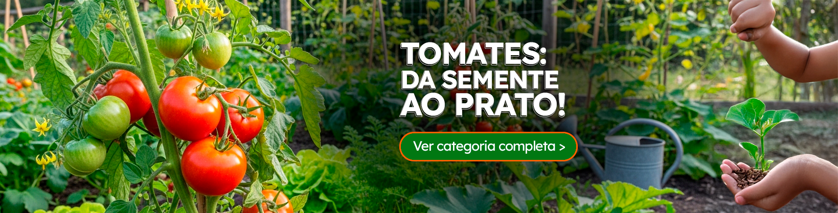 Categoria de Tomates